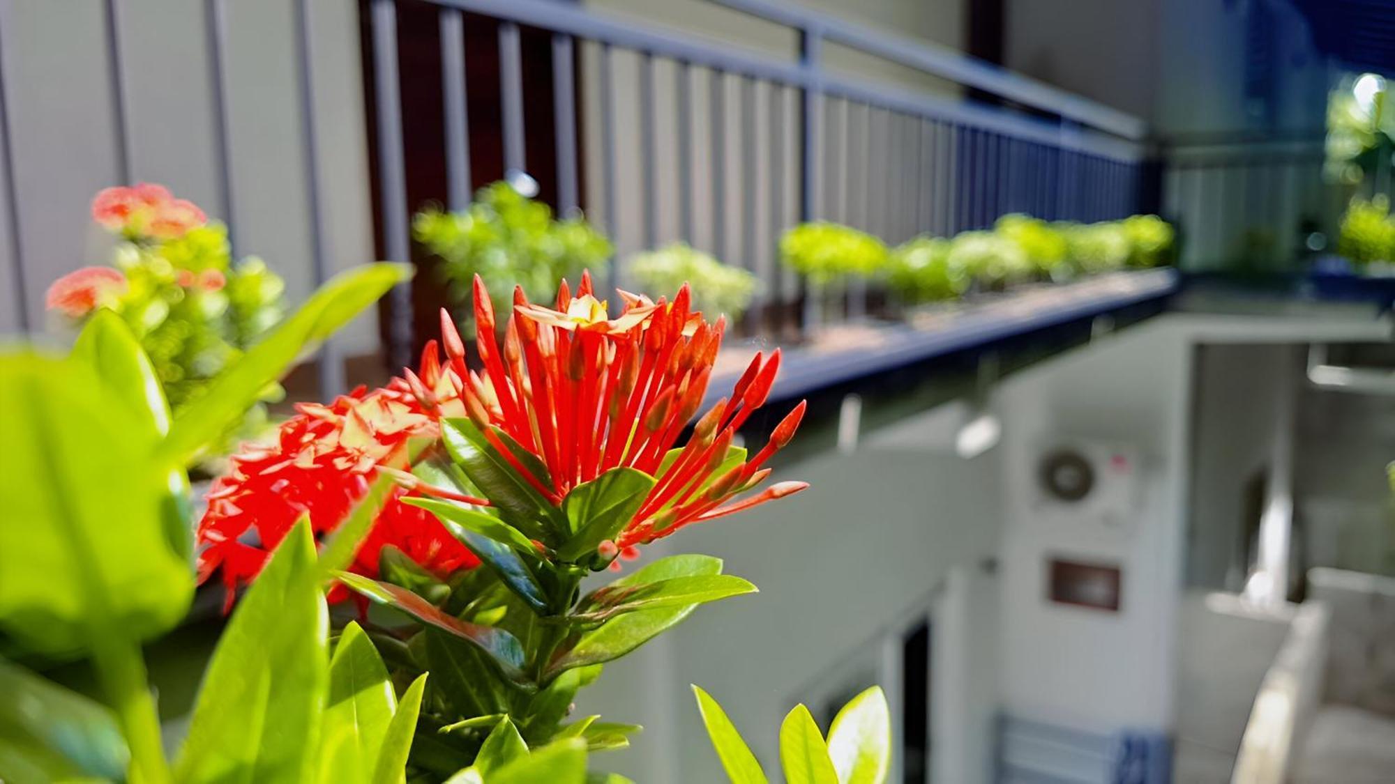 Jaye'S Homestay Kandy Exterior photo