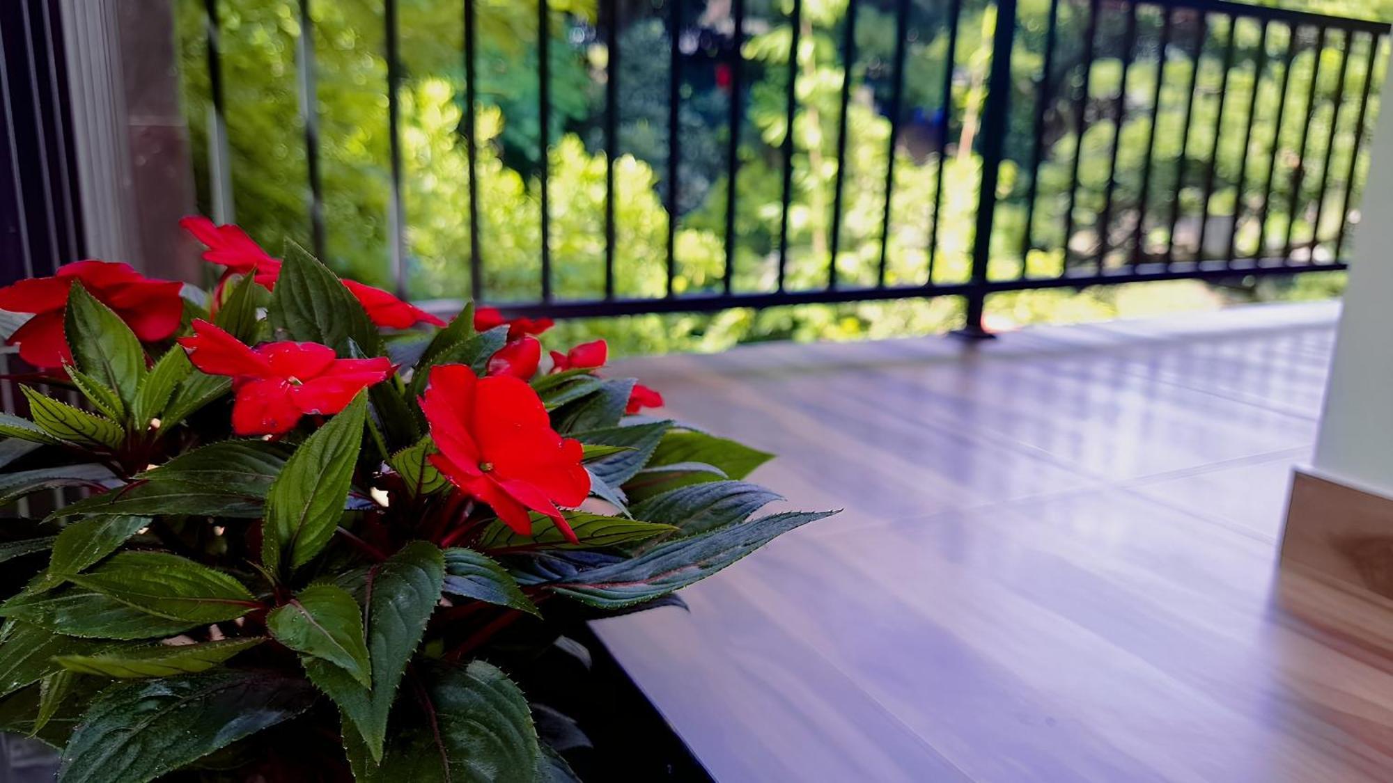 Jaye'S Homestay Kandy Exterior photo